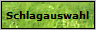 Schlagauswahl